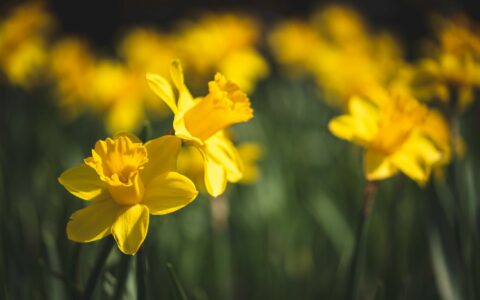 Newsletter - 19 May 2023