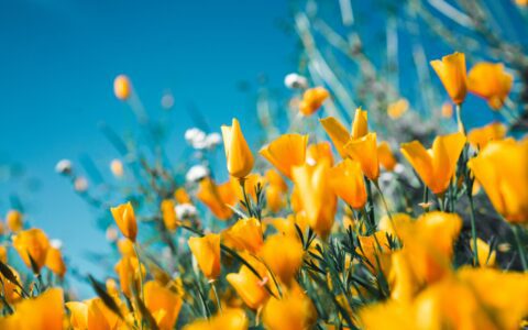 Newsletter - 31 March 2023