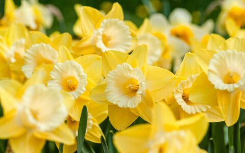 Newsletter - 1 March 2024